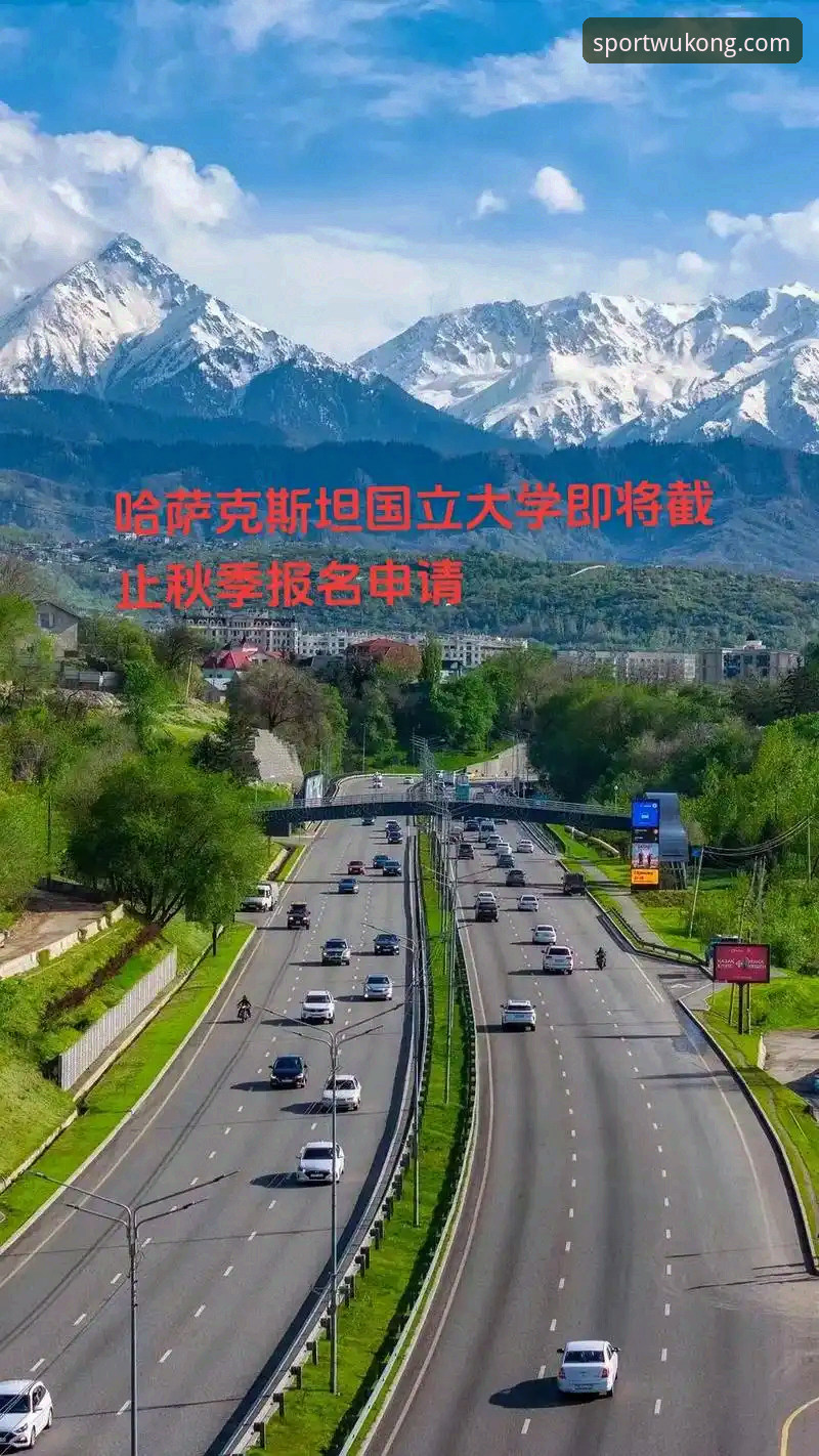 2024最新动态：悟空体育电脑版体验深度评测，用户关注功能与客服支持